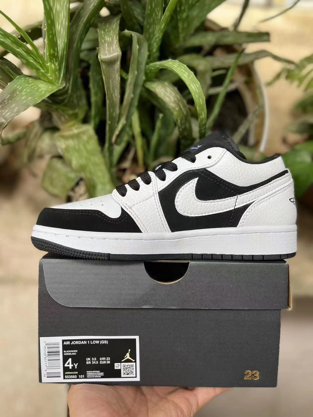 jordan 1 low